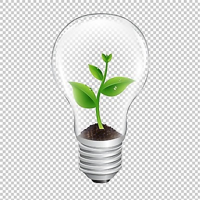 EPS 해외이미지 나무 식물 잎 일러스트 전구 사람없음 초록색 빛 태양 새싹 환경 재활용 장비 에너지 성장 램프 오염 그린에너지 보호 심볼 에코 친환경 자원 모종 공급 해외202004 해외202105 해외일러스트 자연요소 컬러 컨셉 조명 파일형식 벡터