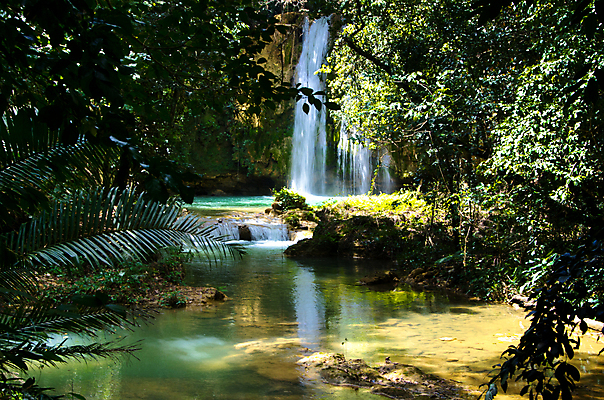 포토 JPG 해외이미지 나무 식물 공원 잎 태국 국립공원 풍경 사람없음 강 폭포 개울 숲 해외202004 해외포토 공공시설 아시아 자연 파일형식