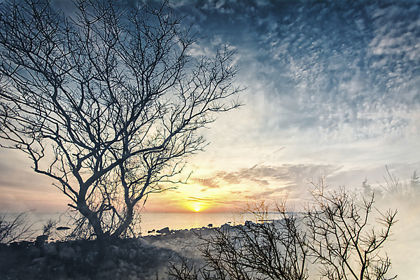 포토 JPG 해외이미지 나무 바다 하늘 날씨 풍경 사람없음 야외 태양 일몰 숲 기후변화 해외202004 해외202105 해외포토 자연요소 식물 노을 변화 파일형식