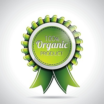 라이프스타일 웰빙 컬러 프레임 환경 에코 파일형식 벡터 빛 EPS 해외이미지 리본 일러스트 초록색 라벨 심볼 유기농 해외202004 친환경 사람없음 해외202105 에코라이프 해외일러스트