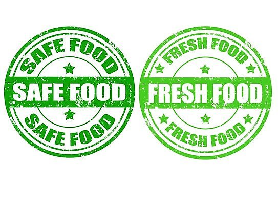 도형 라이프스타일 컬러 프레임 환경 에코 파일형식 벡터 안전 신선 EPS 해외이미지 일러스트 라벨 원형 심볼 해외202004 친환경 초록색 사람없음 해외202105 에코라이프 해외일러스트