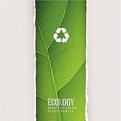 EPS 해외이미지 배너 잎 일러스트 사람없음 초록색 라벨 환경 그린에너지 땅 에코 친환경 바이오 국경 해외202004 해외202105 해외일러스트 식물 컬러 프레임 에너지 파일형식 벡터