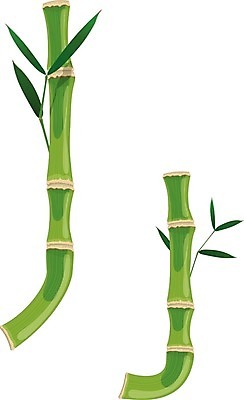 EPS 해외이미지 나무 식물 알파벳 잎 일러스트 사람없음 숲 대나무 해외202004 해외202105 해외일러스트 영어 파일형식 벡터