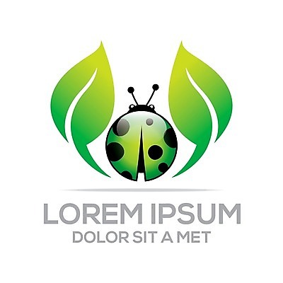 EPS 해외이미지 잎 일러스트 사람없음 심볼 친환경 무당벌레 에코라이프 해외202004 해외202105 해외일러스트 식물 라이프스타일 곤충 환경 에코 파일형식 벡터