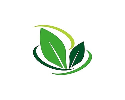 식물 라이프스타일 컬러 환경 에코 파일형식 벡터 EPS 해외이미지 잎 일러스트 초록색 심볼 해외202004 친환경 사람없음 해외202105 에코라이프 해외일러스트