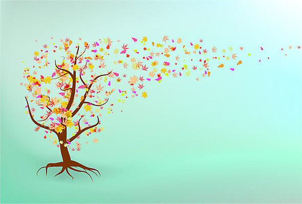 EPS 해외이미지 나무 식물 템플릿 꽃 포스터 잎 일러스트 사람없음 가을 투명 숲 9월 11월 10월 해외202004 해외202105 해외일러스트 계절 날짜 파일형식 벡터