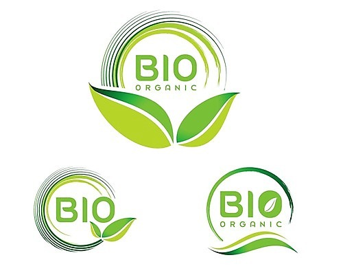 EPS 해외이미지 잎 사람없음 초록색 픽토그램 그린에너지 심볼 에코 친환경 바이오 해외202004 해외일러스트 식물 컬러 환경 에너지 파일형식 벡터