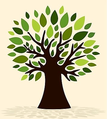 EPS 해외이미지 나무 일러스트 나뭇잎 한그루 사람없음 해외202004 해외202105 해외일러스트 식물 1 잎 파일형식 벡터