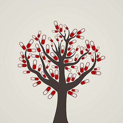 EPS 해외이미지 나무 식물 꽃 단풍 잎 일러스트 뿔 사람없음 봄 가을 꼬리 자작나무 아카시아 해외202004 해외202105 해외일러스트 계절 파일형식 벡터