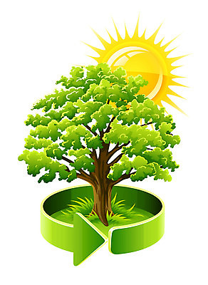 EPS 해외이미지 나무 화살표 일러스트 한그루 사람없음 태양 해외202004 해외202105 해외일러스트 자연요소 식물 1 파일형식 벡터