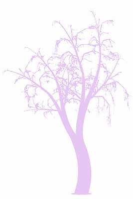 EPS 해외이미지 나무 식물 꽃 실루엣 잎 일러스트 사람없음 보라색 해외202004 해외202105 해외일러스트 컬러 촬영기법 파일형식 벡터