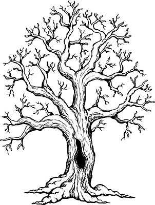 EPS 해외이미지 나무 식물 일러스트 흑백 사람없음 숲 생태계 해외202004 해외202105 해외일러스트 촬영기법 파일형식 벡터