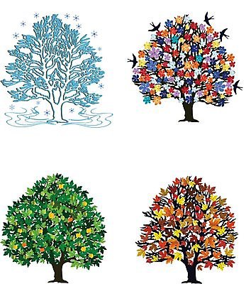 EPS 해외이미지 나무 사계절 꽃 겨울 일러스트 조류 단풍나무 꽃나무 사람없음 여름 봄 가을 눈송이 해외202004 해외202105 해외일러스트 식물 동물 계절 단풍 눈_날씨 파일형식 벡터