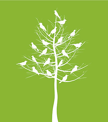 EPS 해외이미지 나무 식물 꽃 단풍 잎 일러스트 조류 뿔 사람없음 봄 가을 꼬리 자작나무 아카시아 해외202004 해외202105 해외일러스트 동물 계절 파일형식 벡터