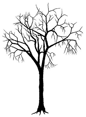 EPS 해외이미지 나무 식물 실루엣 낙엽 일러스트 사람없음 해외202004 해외202105 해외일러스트 잎 촬영기법 파일형식 벡터