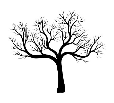 EPS 해외이미지 나무 식물 템플릿 실루엣 낙엽 겨울 일러스트 건조 사람없음 야외 검은색 가을 숲 오브젝트 해외202004 해외202105 해외일러스트 계절 컬러 잎 촬영기법 파일형식 벡터