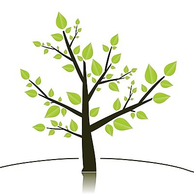 EPS 해외이미지 나무 일러스트 나뭇잎 한그루 사람없음 해외202004 해외202105 해외일러스트 식물 1 잎 파일형식 벡터