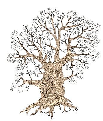 EPS 해외이미지 나무 일러스트 한그루 사람없음 큼 해외202004 해외202105 해외일러스트 식물 1 크기 파일형식 벡터