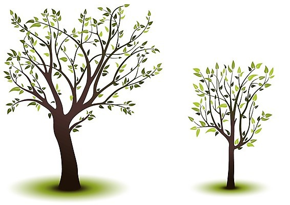 EPS 해외이미지 나무 일러스트 나뭇잎 사람없음 두그루 해외202004 해외202105 해외일러스트 식물 잎 2 파일형식 벡터