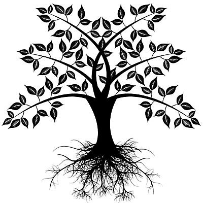 EPS 해외이미지 나무 식물 꽃 실루엣 잎 일러스트 사람없음 검은색 뿌리 해외202004 해외202105 해외일러스트 컬러 촬영기법 파일형식 벡터