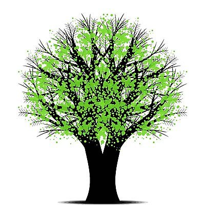 EPS 해외이미지 나무 일러스트 나뭇잎 한그루 사람없음 초록색 해외202004 해외202105 해외일러스트 식물 1 컬러 잎 파일형식 벡터
