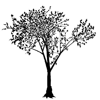 EPS 해외이미지 나무 식물 실루엣 낙엽 잎 일러스트 사람없음 해외202004 해외202105 해외일러스트 촬영기법 파일형식 벡터