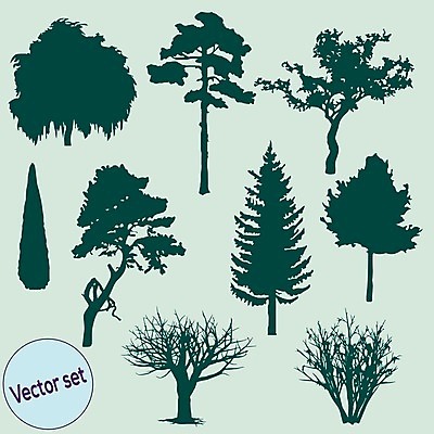 EPS 해외이미지 나무 실루엣 일러스트 종류 여러그루 사람없음 세트 관목 해외202004 해외202105 해외일러스트 식물 다수 촬영기법 파일형식 벡터