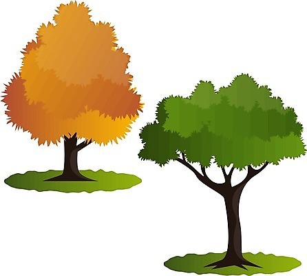 EPS 해외이미지 나무 식물 단풍 잎 일러스트 사람없음 활발 가을 숲 해외202004 해외202105 해외일러스트 계절 컨셉 파일형식 벡터