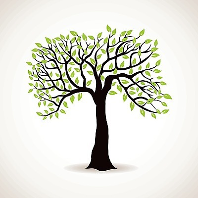 EPS 해외이미지 나무 일러스트 나뭇잎 한그루 사람없음 해외202004 해외202105 해외일러스트 식물 1 잎 파일형식 벡터