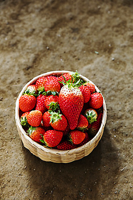 포토 JPG 주간 과일 딸기 사람없음 야외 하이앵글 바구니 충청남도 담기 특산물 논산 땅바닥 제철과일 국내포토 자연요소 뷰포인트 모션 바닥 충청도 제철 파일형식