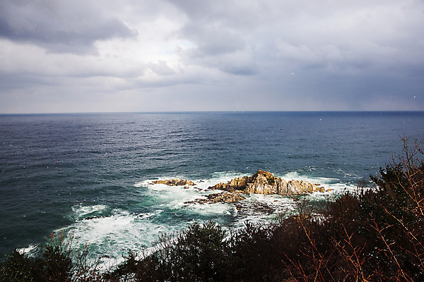 포토 JPG 주간 나무 구름 바다 하늘 한국 풍경 사람없음 야외 바위 강원도 고성 국내여행 국내포토 자연요소 식물 아시아 여행 돌_바위 파일형식