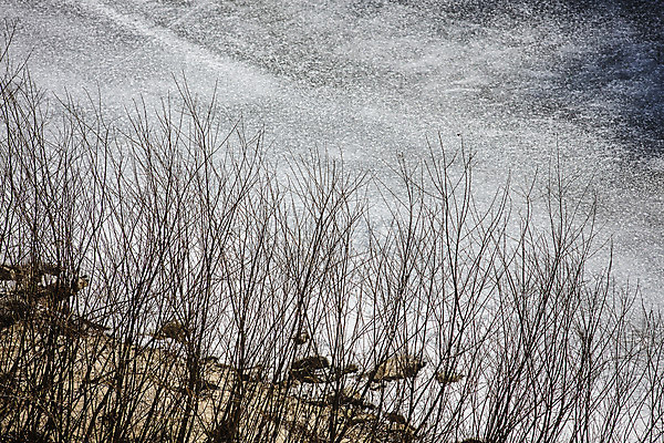 포토 JPG 주간 겨울 한국 풍경 사람없음 야외 강 얼음 빙판 충청북도 국내여행 충주 국내포토 자연요소 계절 아시아 여행 충청도 파일형식