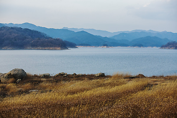 포토 JPG 주간 호수 산 한국 갈대 풍경 사람없음 야외 경상남도 국내여행 합천 국내포토 자연요소 식물 아시아 여행 경상도 파일형식