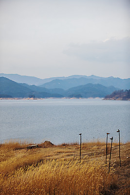 포토 JPG 주간 하늘 산 한국 갈대 풍경 사람없음 야외 경상남도 솟대 국내여행 합천 국내포토 자연요소 식물 아시아 여행 경상도 파일형식