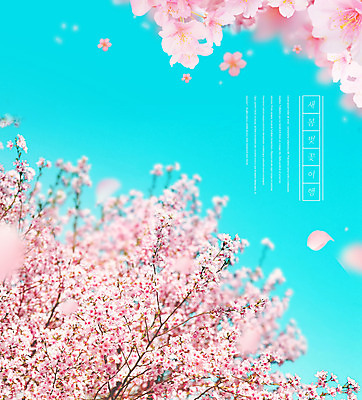 PSD 편집이미지 분홍색 봄꽃 사람없음 봄 벚꽃 민트색 벚꽃축제 봄여행 이미지편집 계절 꽃 컬러 여행 축제 꽃축제 파일형식