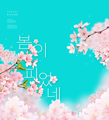 PSD 편집이미지 분홍색 봄꽃 타이포그라피 사람없음 봄 벚꽃 민트색 봄여행 이미지편집 문자 계절 꽃 컬러 여행 파일형식