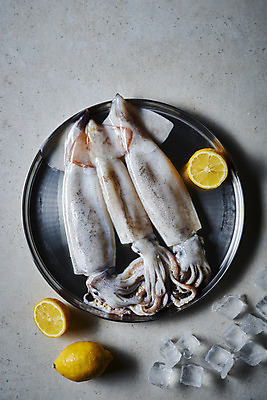 포토 JPG 스튜디오촬영 음식 식재료 회색배경 실내 사람없음 하이앵글 얼음 레몬 오징어 플랫레이 국내포토 자연요소 뷰포인트 백그라운드 과일 연체동물 내부 수중동물 회색 플랫 파일형식