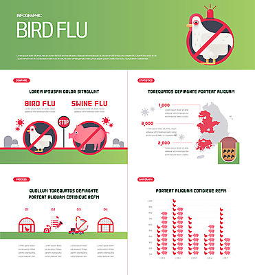 동물 여러마리 일러스트 그래프 사람없음 연두색 인포그래픽 금지 닭 돼지 축사 사이렌 양계장 조류독감 조류인플루엔자 돼지독감 국내일러스트 AI파일 건축물 다수 포유류 조류 초록색 바이러스 축산업 전염병 파일형식 벡터