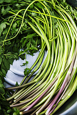 포토 JPG 주간 채소 식재료 사람없음 야외 하이앵글 특산물 강원도 미나리 양은그릇 평창 국내포토 자연요소 그릇 뷰포인트 한국 파일형식