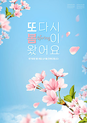 PSD 편집이미지 꽃잎 하늘색 타이포그라피 사람없음 봄 벚꽃 낙화 이미지편집 문자 계절 꽃 파란색 파일형식