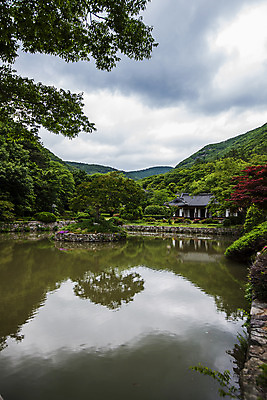 포토 JPG 주간 나무 구름 산 기와집 사람없음 야외 정원 연못 전라남도 진도 국내포토 자연요소 식물 한옥 전라도 파일형식