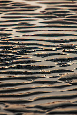포토 JPG 주간 사람없음 야외 전라남도 갯벌 진도 국내포토 자연요소 전라도 파일형식