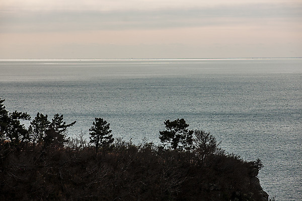 포토 JPG 주간 나무 바다 섬 하늘 사람없음 야외 전라남도 여수 국내포토 자연요소 식물 전라도 파일형식