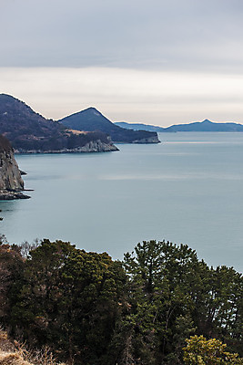 포토 JPG 주간 나무 바다 섬 하늘 사람없음 야외 전라남도 남해 여수 국내포토 자연요소 식물 전라도 파일형식