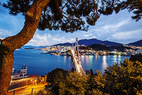 포토 JPG 구름 바다 섬 야경 하늘 사람없음 야외 소나무 저녁 전라남도 여수 돌산대교 국내포토 자연요소 나무 다리_건축물 야간 전라도 파일형식 풍경_경치