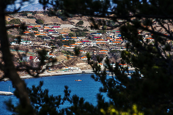 포토 JPG 주간 나무 바다 산 주택 사람없음 야외 마을 전라남도 여수 국내포토 자연요소 식물 건물 전라도 파일형식