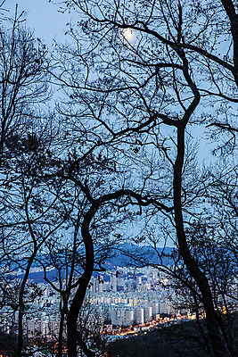 포토 JPG 나무 야경 하늘 아파트 한국 사람없음 야외 도시풍경 봄 경기도 국내여행 전경 국내포토 식물 계절 아시아 여행 주택 풍경 도시 야간 파일형식 탑뷰 풍경_경치