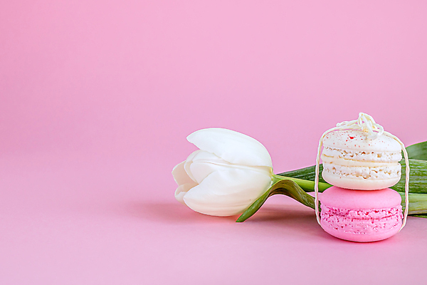 포토 JPG 해외이미지 스튜디오촬영 실내 사람없음 튤립 노끈 마카롱 분홍색배경 해외포토 꽃 줄 분홍색 백그라운드 디저트 내부 파일형식