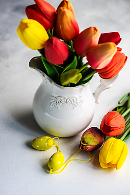 포토 JPG 해외이미지 스튜디오촬영 화분 실내 사람없음 장식 튤립 흰배경 해외포토 꽃 백그라운드 내부 흰색 파일형식