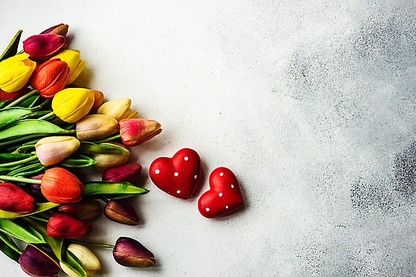 포토 JPG 해외이미지 스튜디오촬영 꽃다발 실내 사람없음 튤립 하트 흰배경 해외포토 모양 꽃 백그라운드 내부 흰색 파일형식